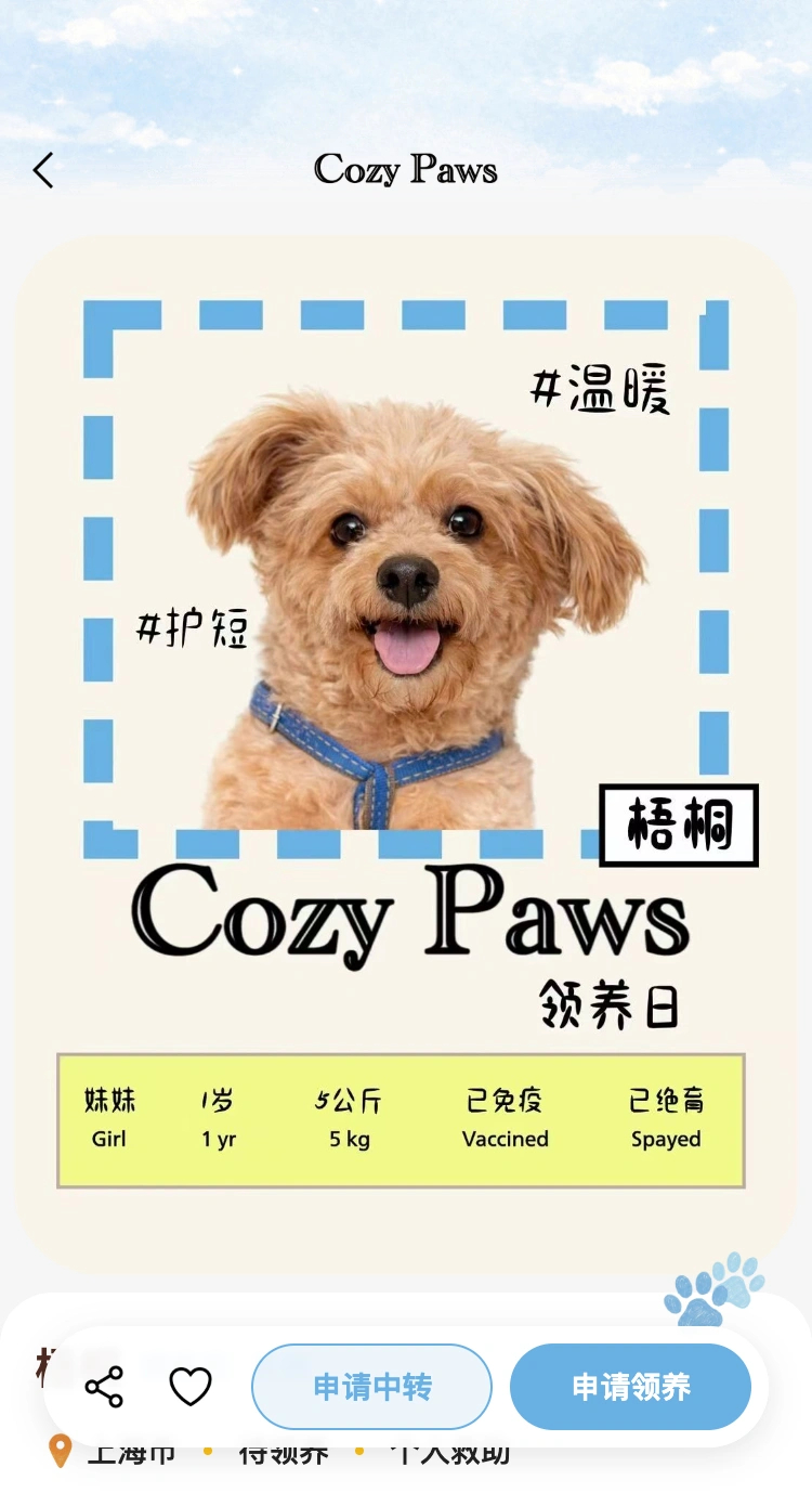 CozyPaws 先了解,再靠近页面,使用本地示例资料与项目领养海报